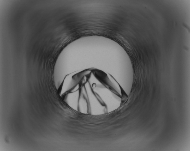 X0000092060045200710101042