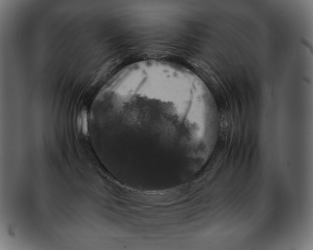 X0000092060046200710101042