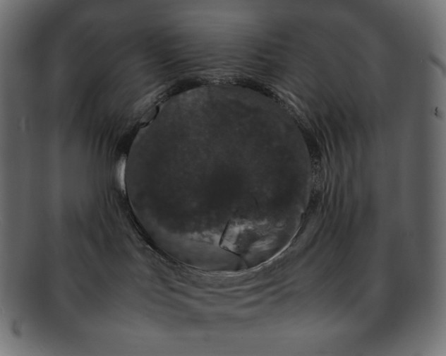 X0000092060047200710101042