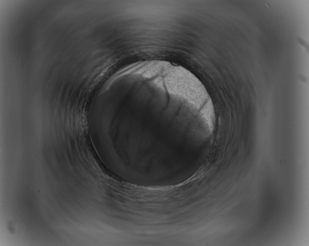 X0000092060048200710101042