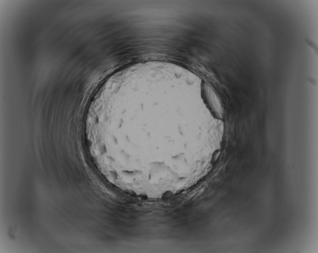 X0000092060049200710101041