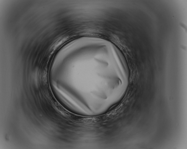 X0000092060050200710101041