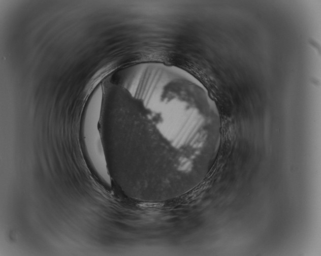 X0000092060051200710101041