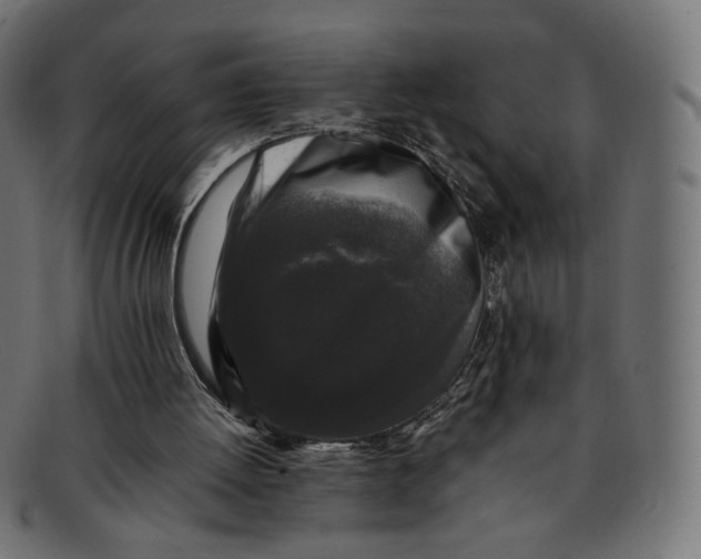 X0000092060052200710101041