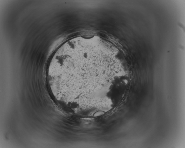 X0000092060053200710101041