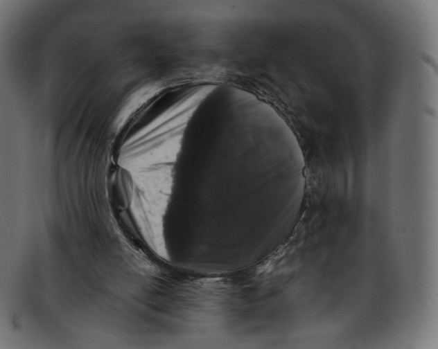 X0000092060054200710101041