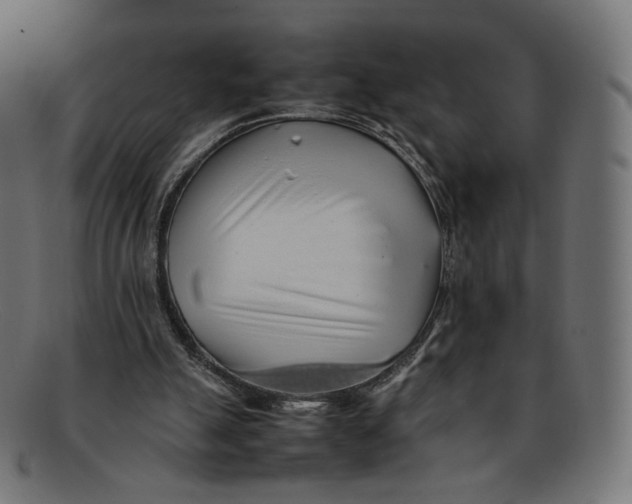 X0000092060055200710101041