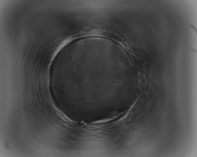 X0000092060056200710101041