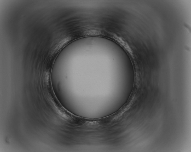 X0000092060057200710101041