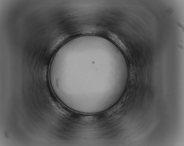 X0000092060058200710101041