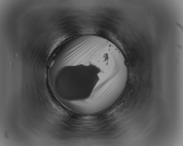 X0000092060059200710101041