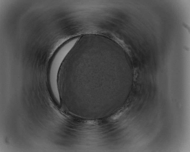 X0000092060060200710101041