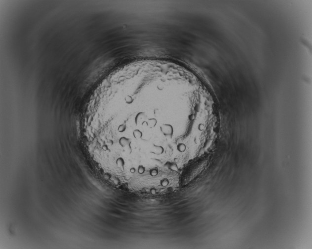 X0000092060061200710101041