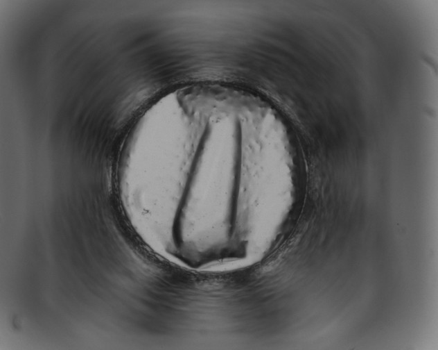 X0000092060062200710101041