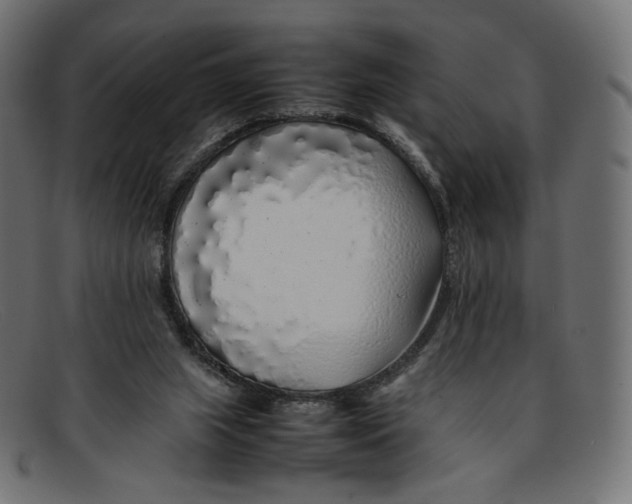 X0000092060063200710101041