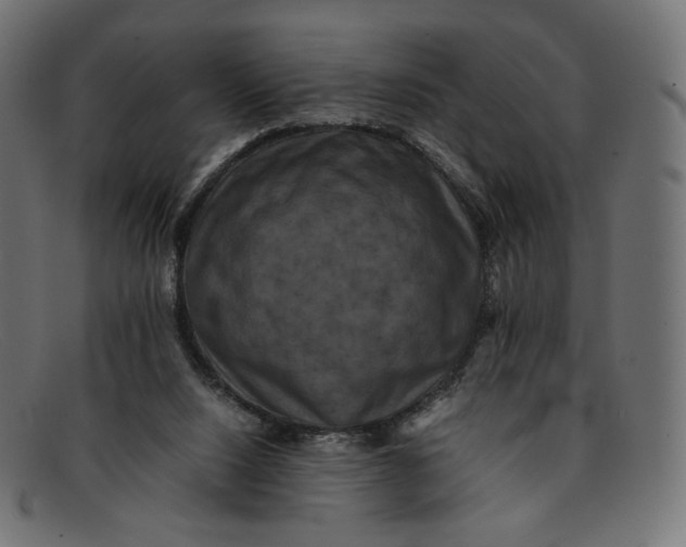 X0000092060064200710101041