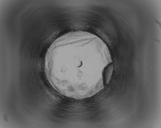 X0000092060065200710101041