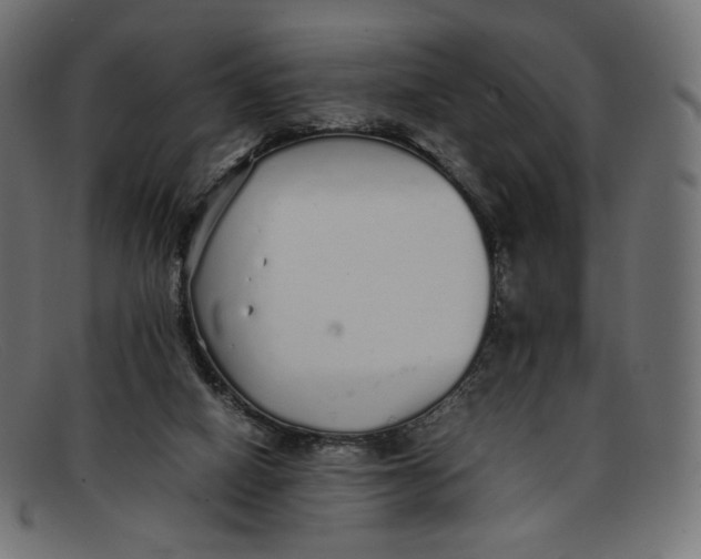 X0000092060066200710101041