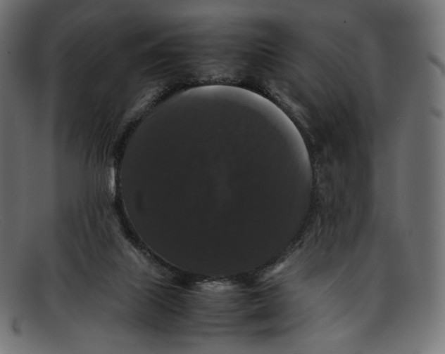 X0000092060067200710101041