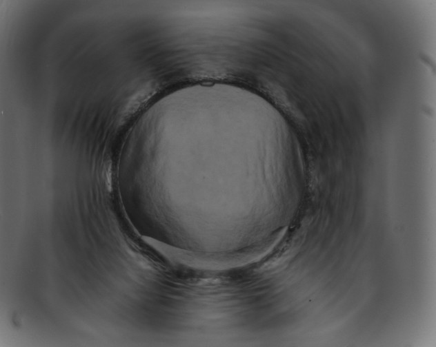 X0000092060068200710101041