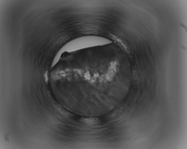 X0000092060069200710101041