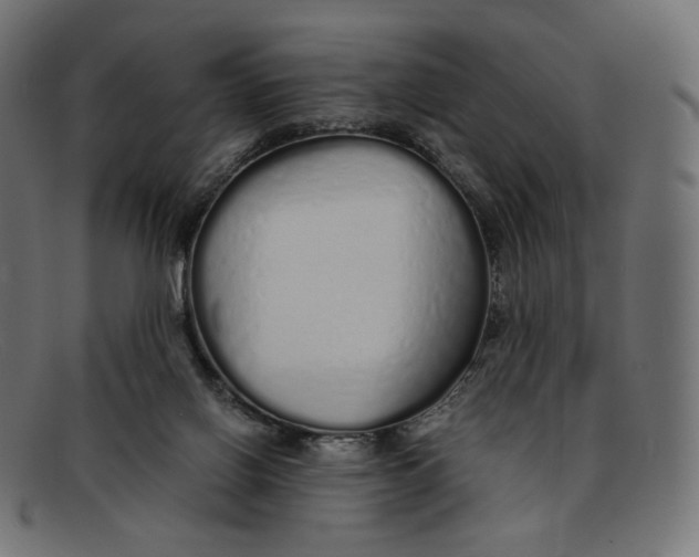 X0000092060070200710101041