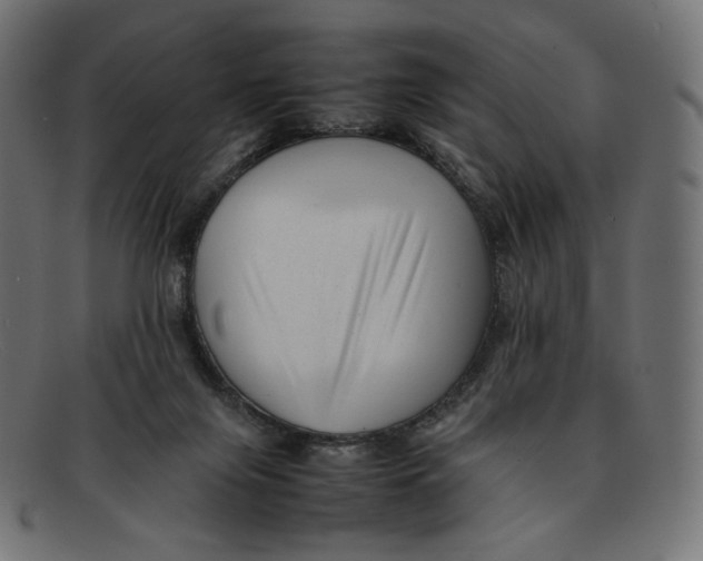 X0000092060071200710101041