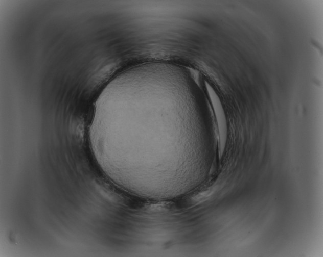 X0000092060072200710101041