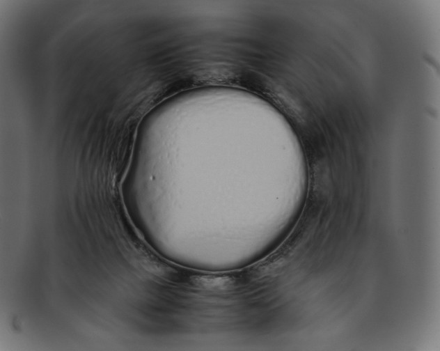 X0000092060073200710101041