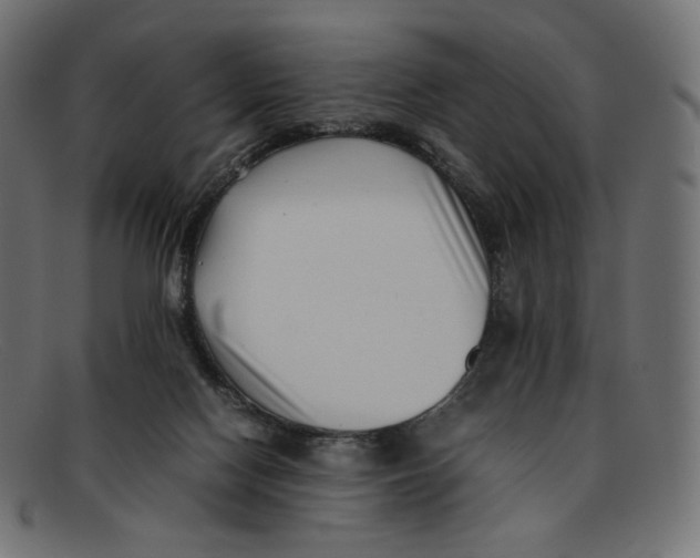 X0000092060074200710101041