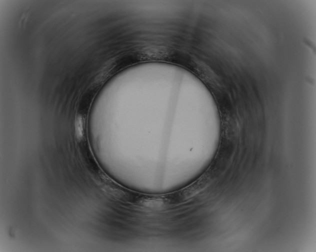 X0000092060075200710101041