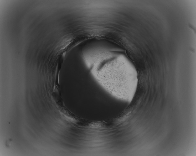 X0000092060076200710101041