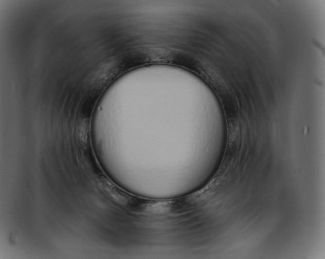 X0000092060078200710101041