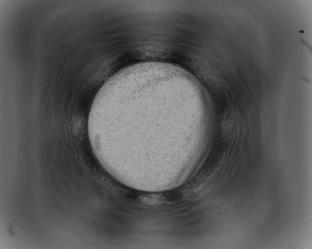 X0000092060079200710101041