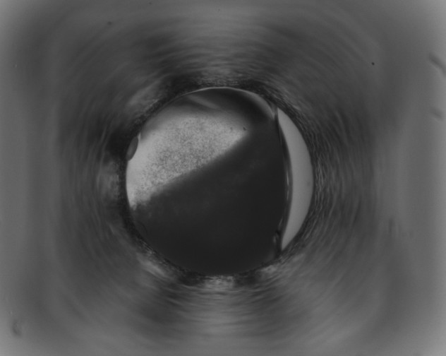 X0000092060080200710101041