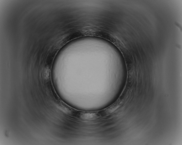 X0000092060081200710101041