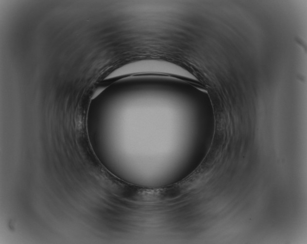 X0000092060084200710101041