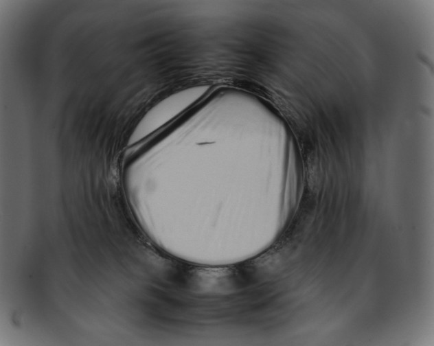 X0000092060085200710101041