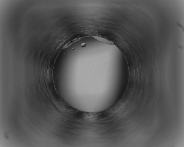 X0000092060088200710101042