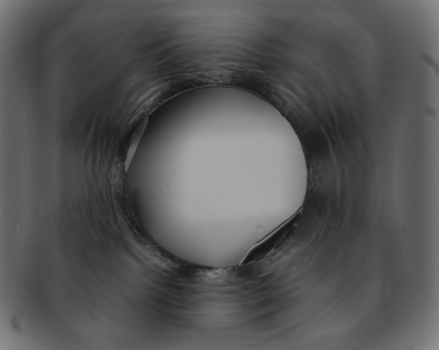 X0000092060092200710101042