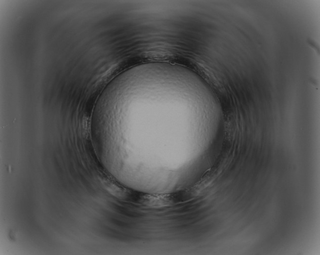 X0000092060093200710101042