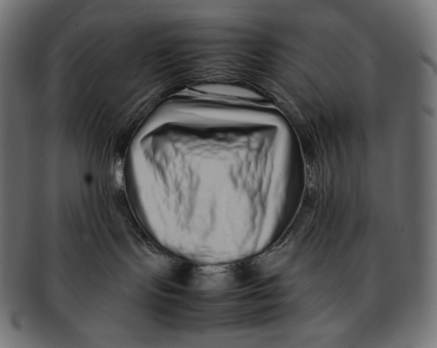 X0000092060095200710101042