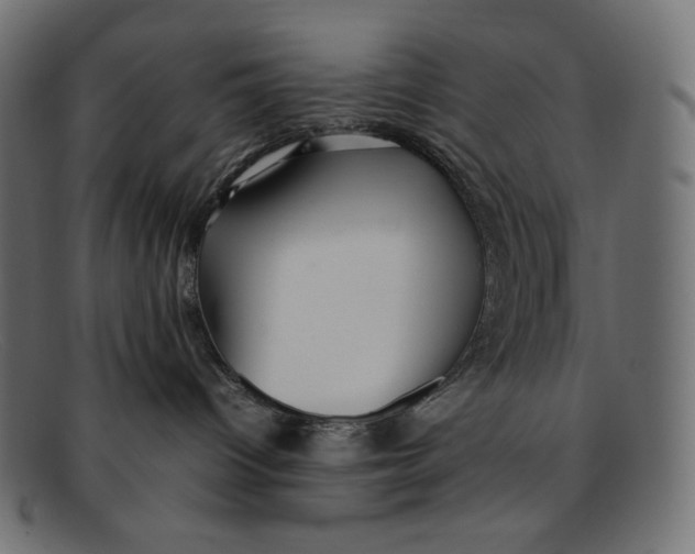 X0000092060096200710101042