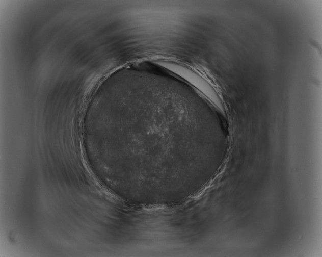 X0000092060097200710101041