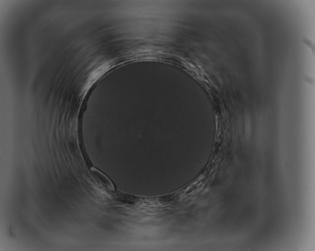 X0000092060099200710101041