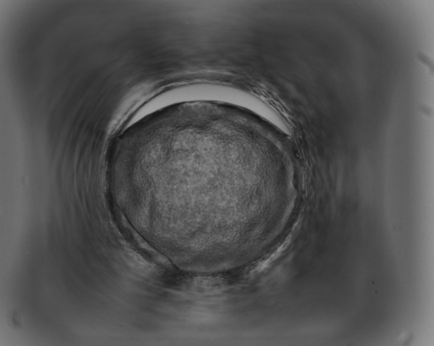 X0000092060101200710101041