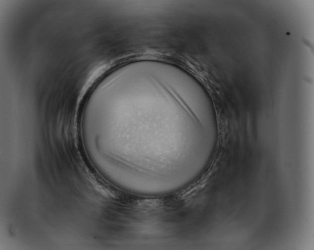 X0000092060102200710101041