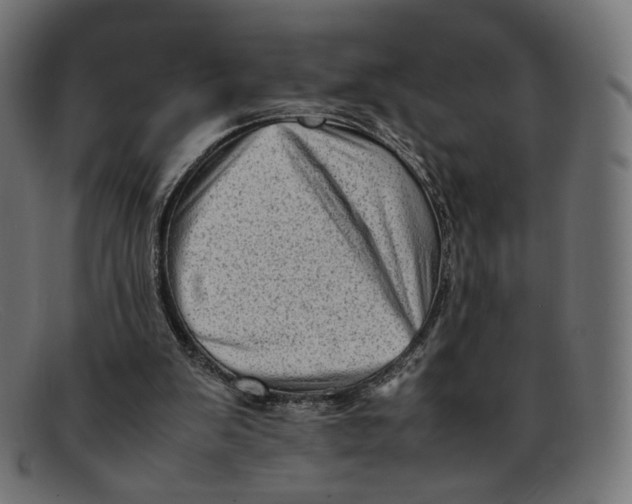 X0000092060103200710101041