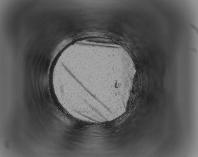 X0000092060104200710101041