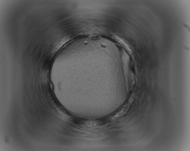 X0000092060105200710101041